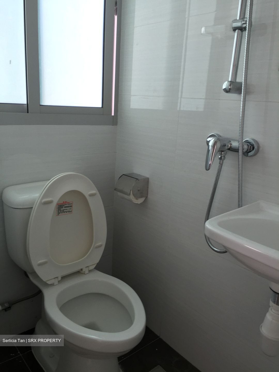 Eight Riversuites (D12), Condominium #536630181